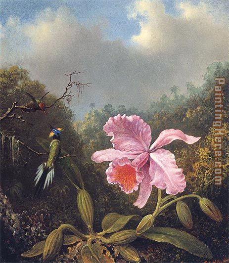 Martin Johnson Heade Fighting Hummingbirds with Pink Orchid